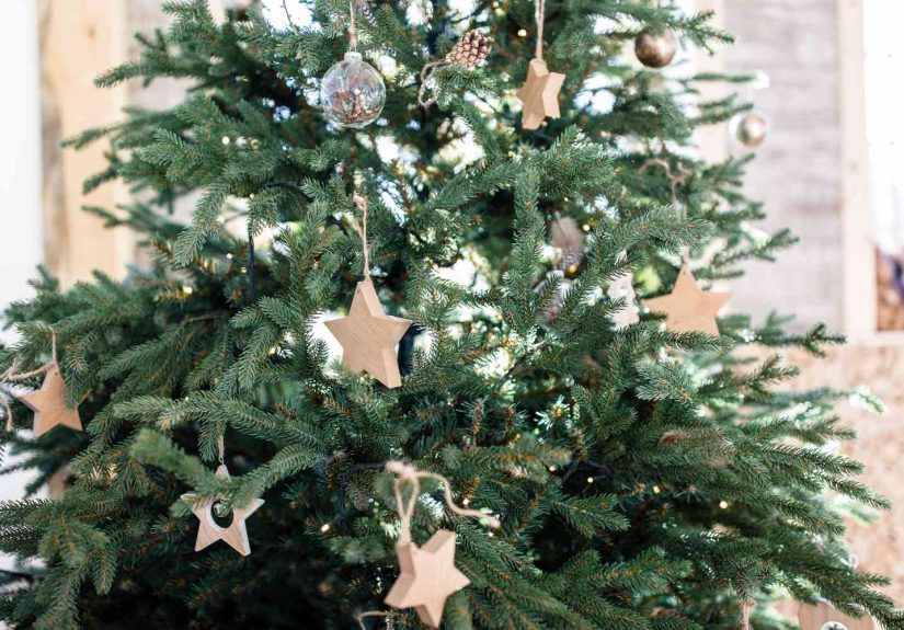 10 Things to Know Before Buying Your First Christmas Tree