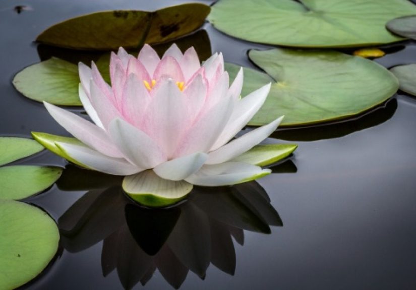 20 Things 90 Years of Wisdom Told Me to Stop Worrying About So Often