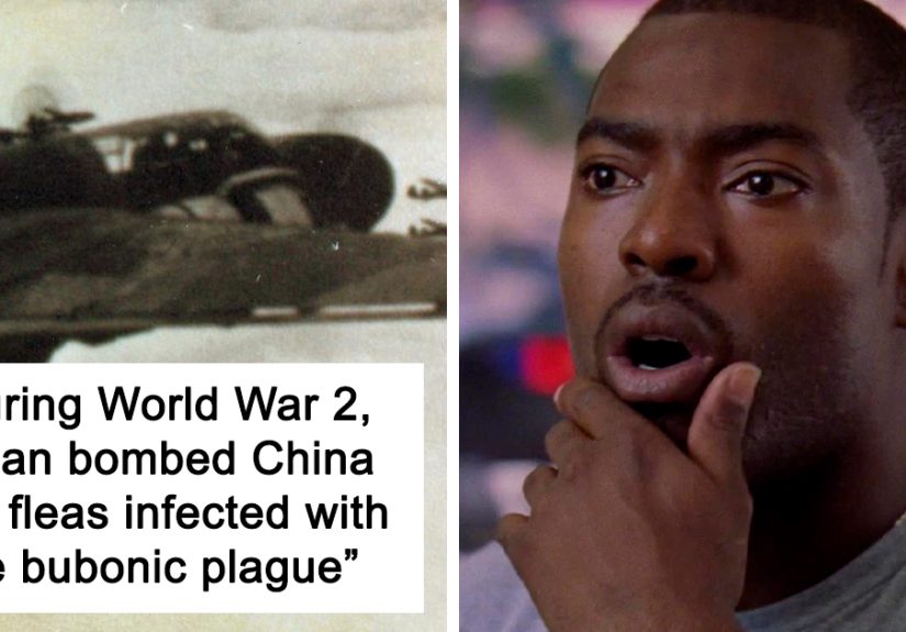 30 Facts That People Had A Hard Time Accepting, As Shared In This Online Thread