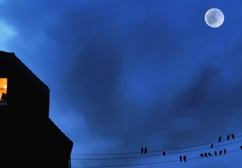 Are You More Focused at Night if You Live with ADHD?