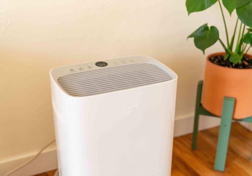 Dehumidifier Purpose: Benefits & High Moisture Signs