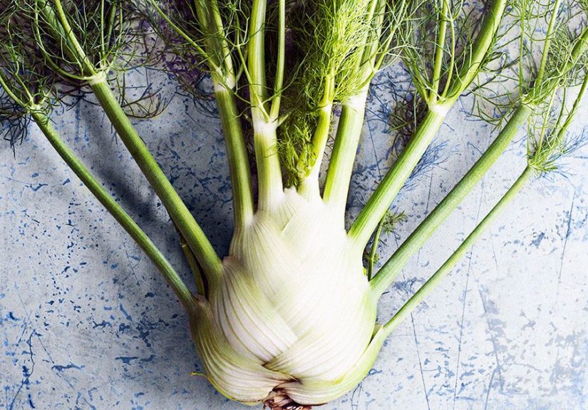Fennel tea: 5 health benefits and risks