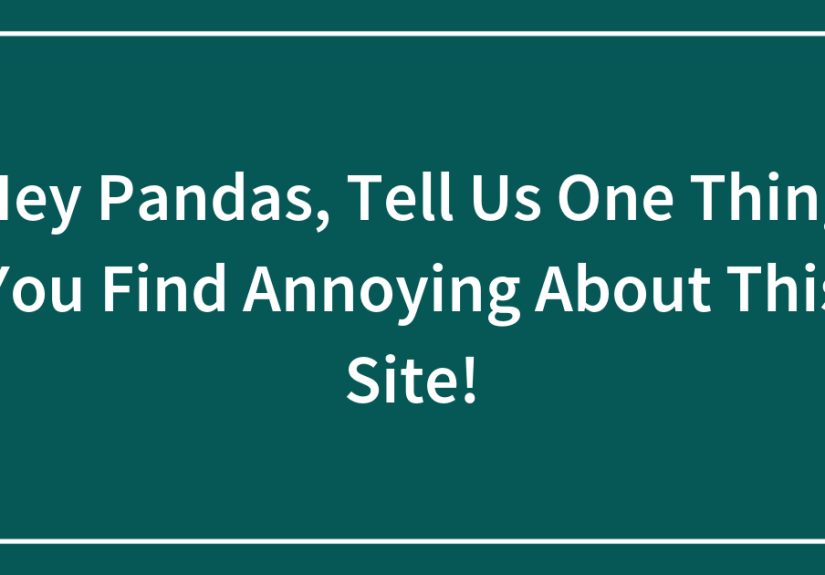 Hey Pandas, Tell Us One Thing You Find Annoying About This Site!