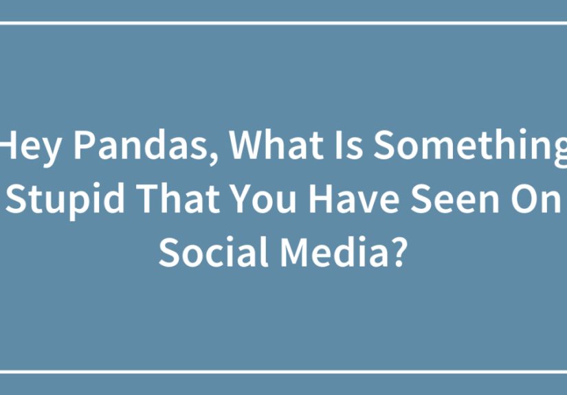 Hey Pandas, What Is Something Stupid That You Have Seen On Social Media?
