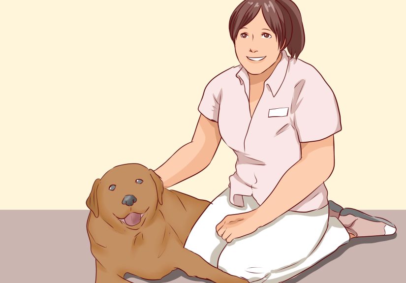 How to Discourage a Dog From Biting: 15 Steps