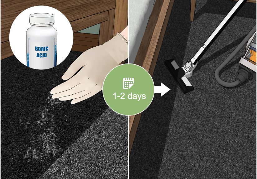 How to Keep Roaches Away from Your Bed: 15 Steps