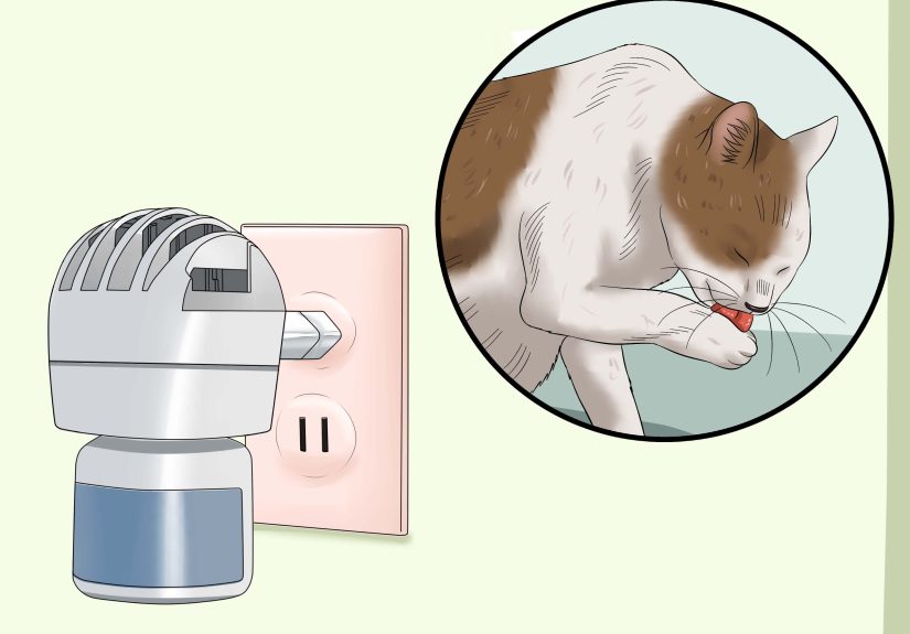 How to Stop a Cat from Pulling Its Hair Out: 10 Steps