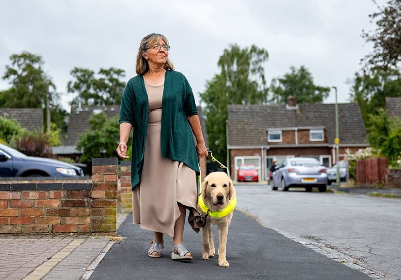 How You Can Afford and Get Access to a Medical Alert Service Dog