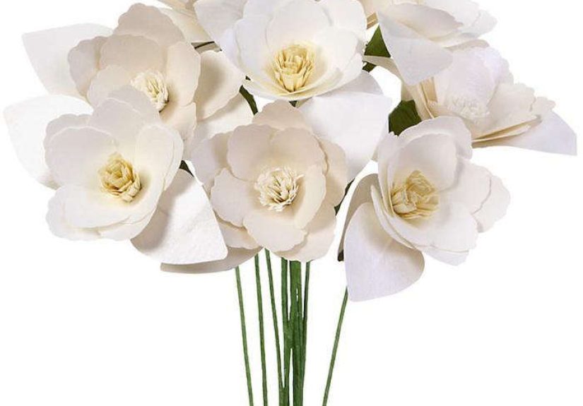 Mini Magnolia Flower Kit