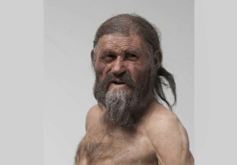 Scientists Find Ulcer-Causing Bacteria in Ötzi the Ice Man