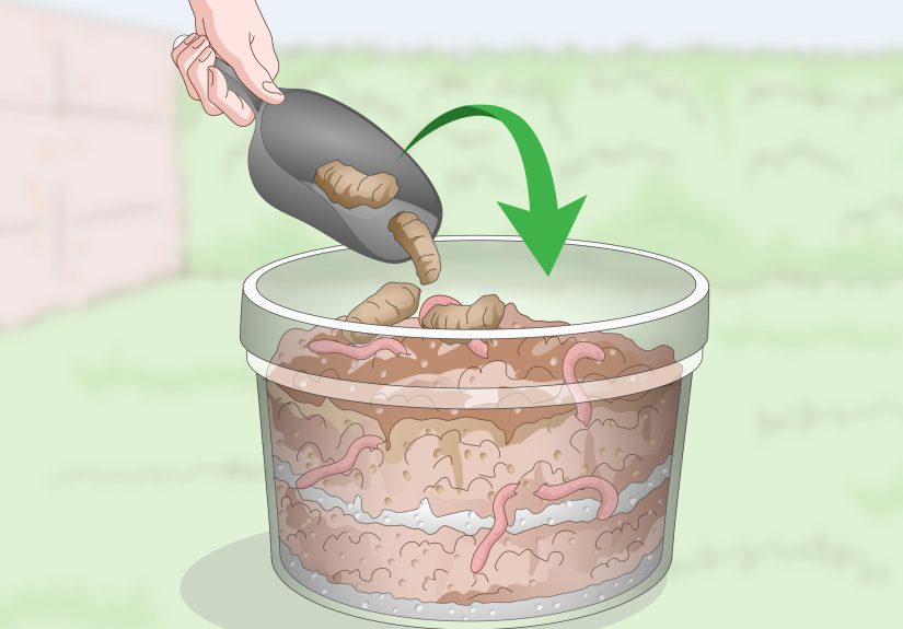 Simple Ways to Dispose of Dog Poop: 10 Steps