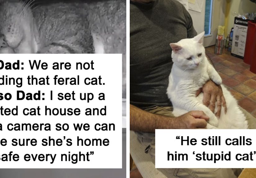 These 50 Dads Didn’t Want Pets, Now They’re Totally Obsessed