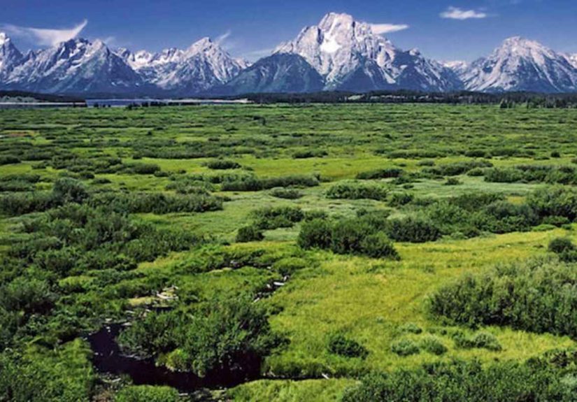 10 Elevated Facts About Grand Teton National Park