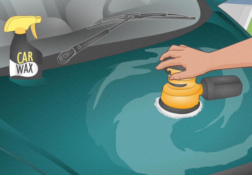 11 Quick & Effective Ways to Get Bird Poop Off Your Car