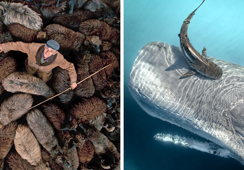 30 Best Drone Photos Of 2024, According To The Siena Awards