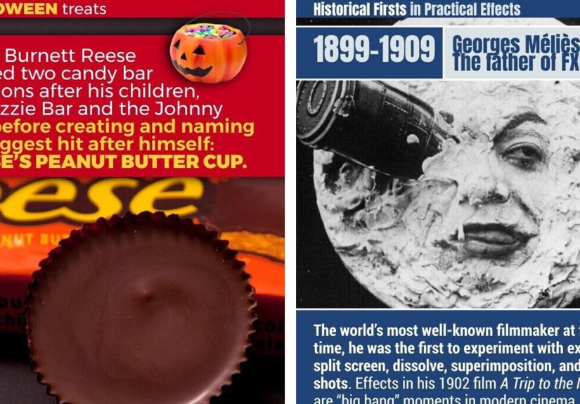 32 Squeamish Bits of Trivia That Might Puke at the Sight of Your Brain
