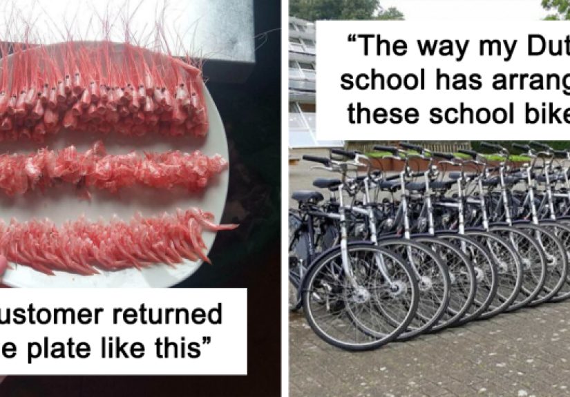 50 Times People Encountered Perfectly Organized Things And Just Had To Document Them