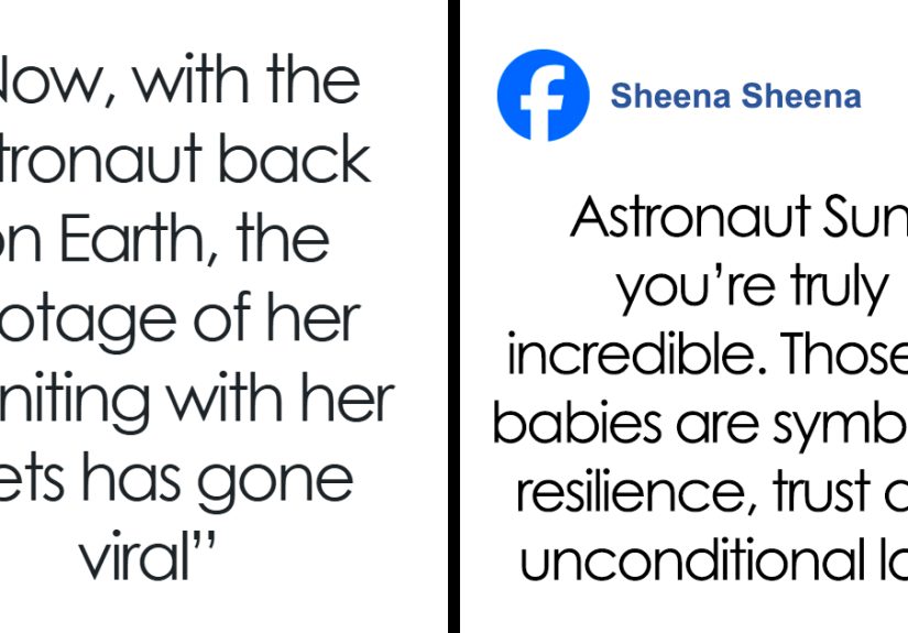 After Almost A Year In Space, Astronaut Reunites With Her Doggos, And Their Reaction Is Priceless