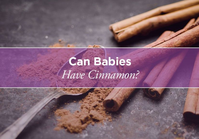 Can Babies Have Cinnamon: What Parents Should Know