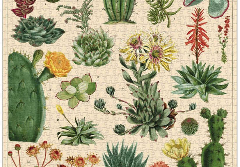 Cavallini & Co.'s Vintage Themed Puzzles - Cacti + Succulents