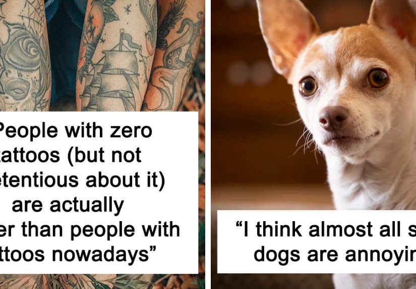 “Girls Just Pretend To Like It”: 40 People Reveal What Unpopular Opinions They Have About Our Society