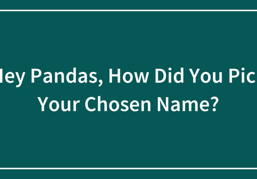 Hey Pandas, How Did You Pick Your Chosen Name?