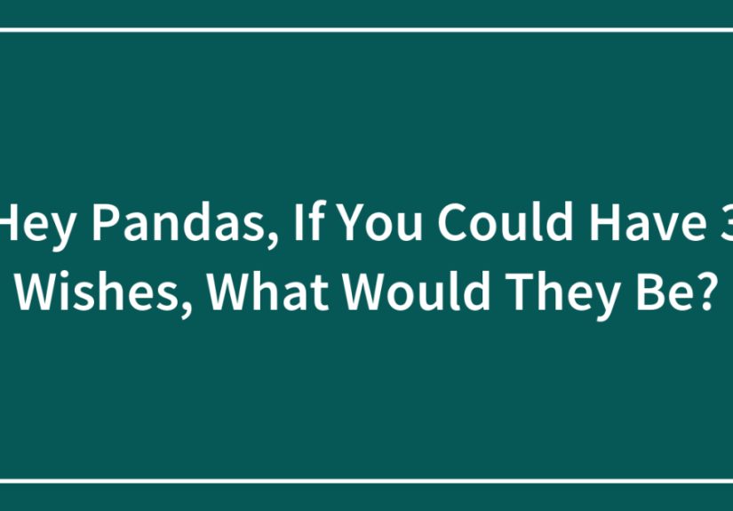 Hey Pandas, If You Could Have 3 Wishes, What Would They Be?