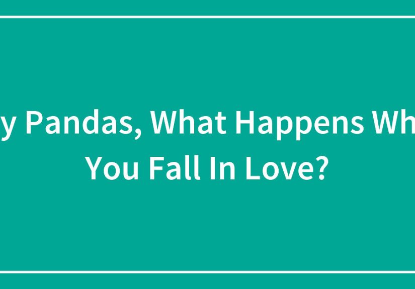 Hey Pandas, What Happens When You Fall In Love?