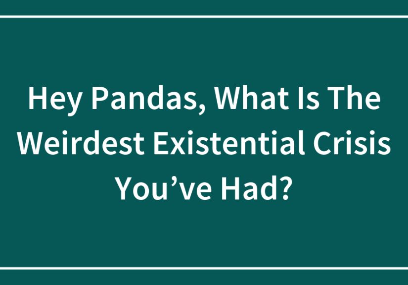 Hey Pandas, What Is The Weirdest Existential Crisis You’ve Had?