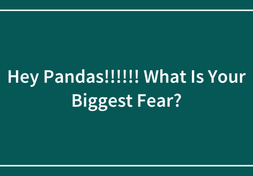 Hey Pandas!!!!!! What Is Your Biggest Fear?