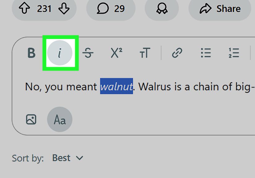 How to Italicize Text on Reddit: Formatting Guide
