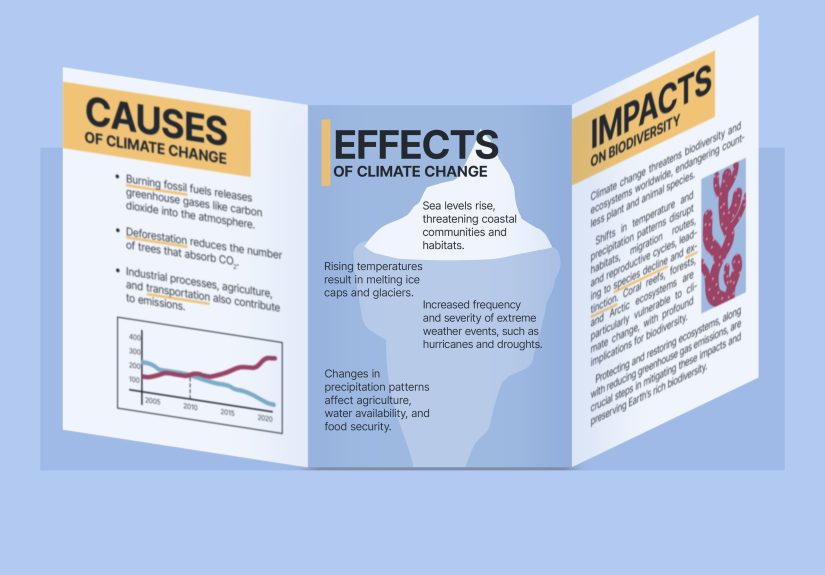 How to Make a Brochure for a School Project: Design & Format