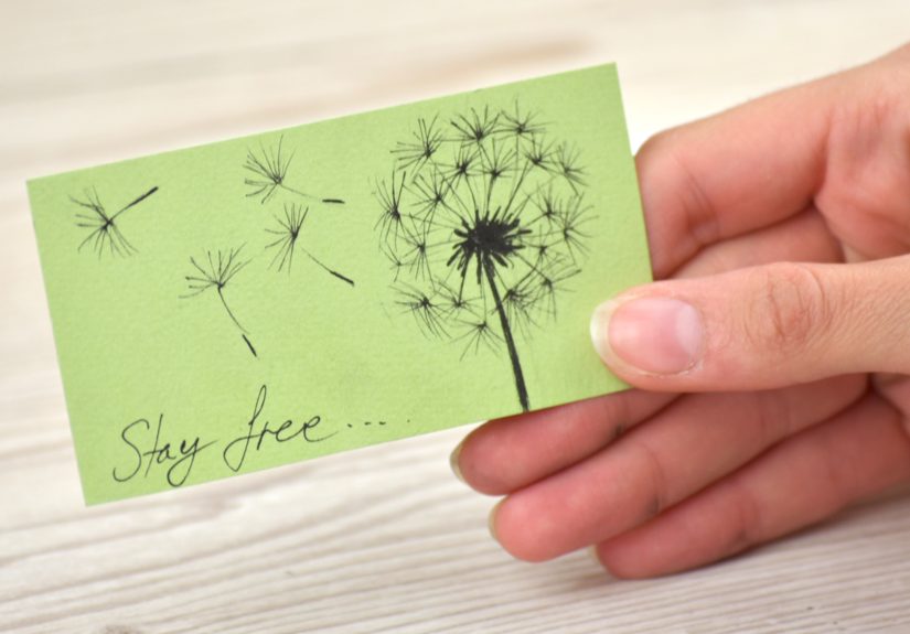 How to Make a Photo Flip Book: 11 Steps