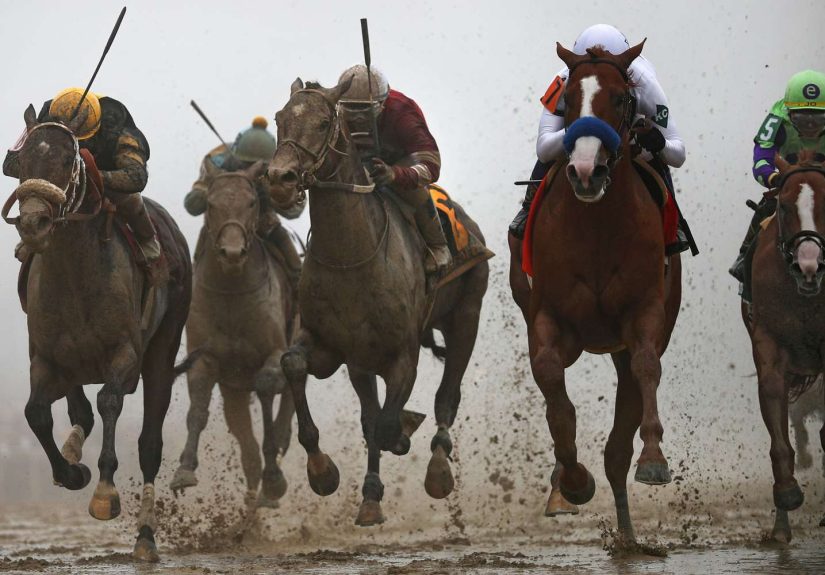 How to Watch The Preakness Stakes Live Stream (2024)