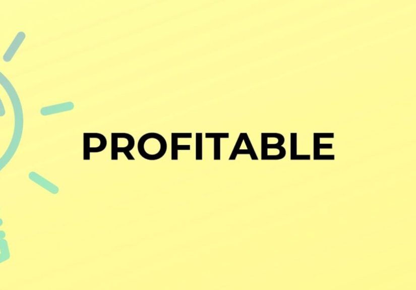 How We Got to Profitability at $5M ARR Growing 100%. It Won’t Work For Most, However.