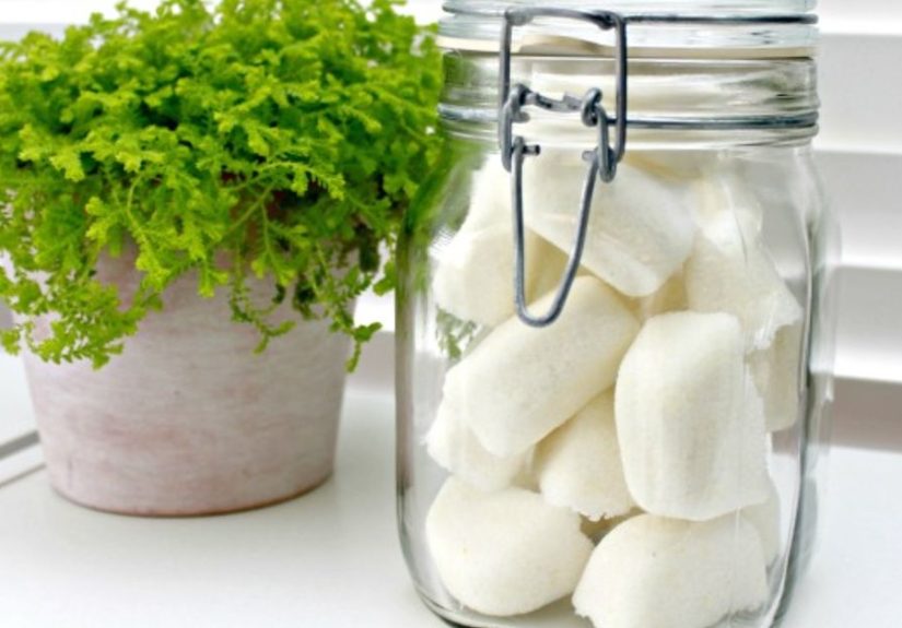 Make Your Own Dishwasher Tabs