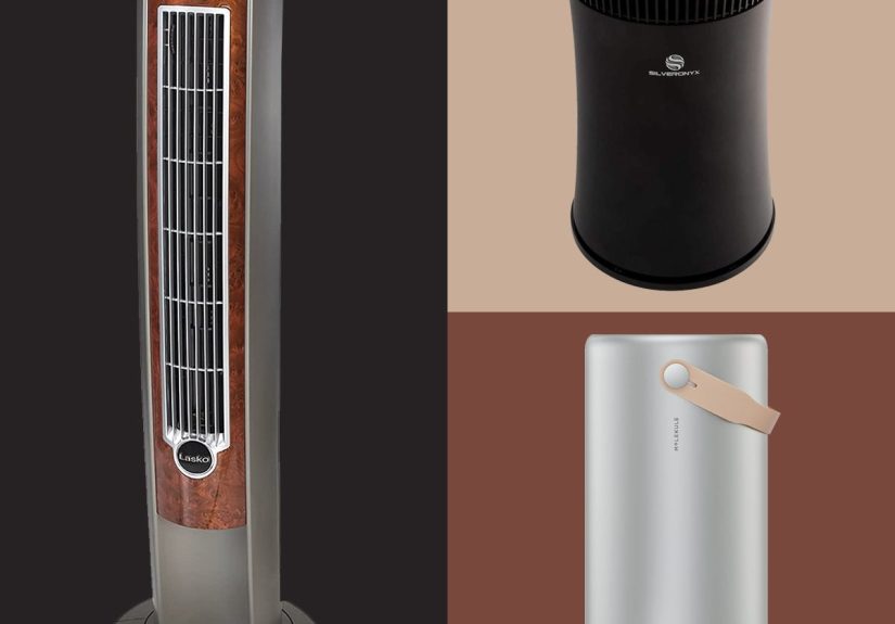 The Best Air Ionizers of 2025
