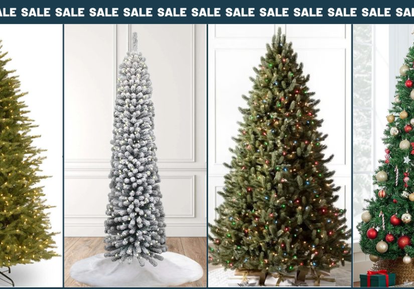 The Best Christmas in July Tree Sales in July 2025
