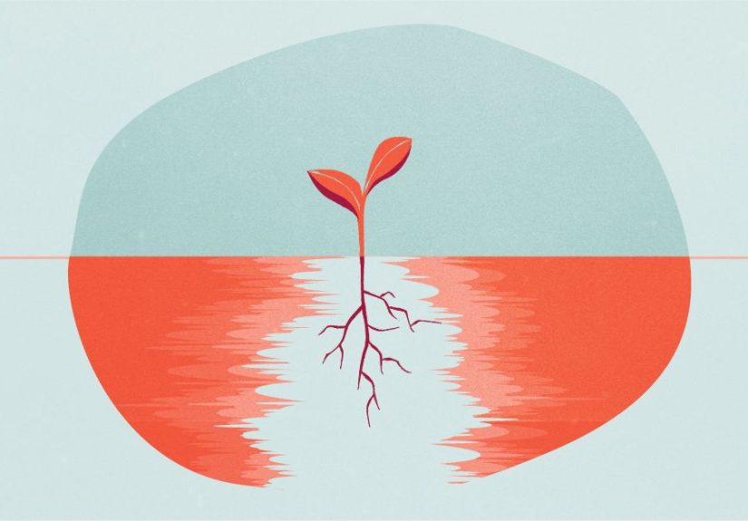 The Other Side of Grief