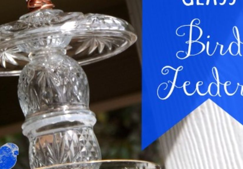 Thrifted Glass Bird Feeders