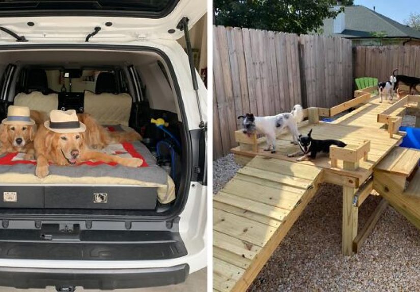 31 Dog Owners Show Off Some of the Coolest Things They Did for Their Dogs in the “I Did It for My Dog” Challenge on Facebook