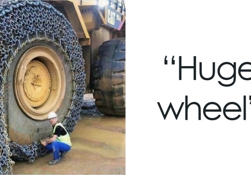 50 Photos Of Gigantic Things That Are Big “Nopes” For Anyone With Megalophobia