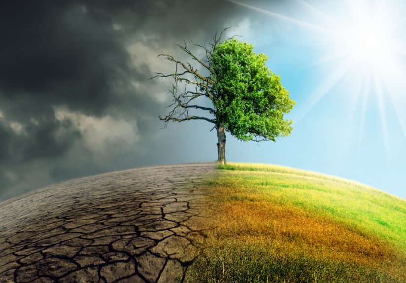A cardiologist’s urgent call to combat heat-related health risks