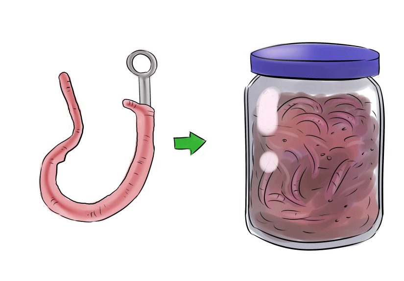 Beginner Fishing Safety: What to Know Before You Handle Worms and Hooks