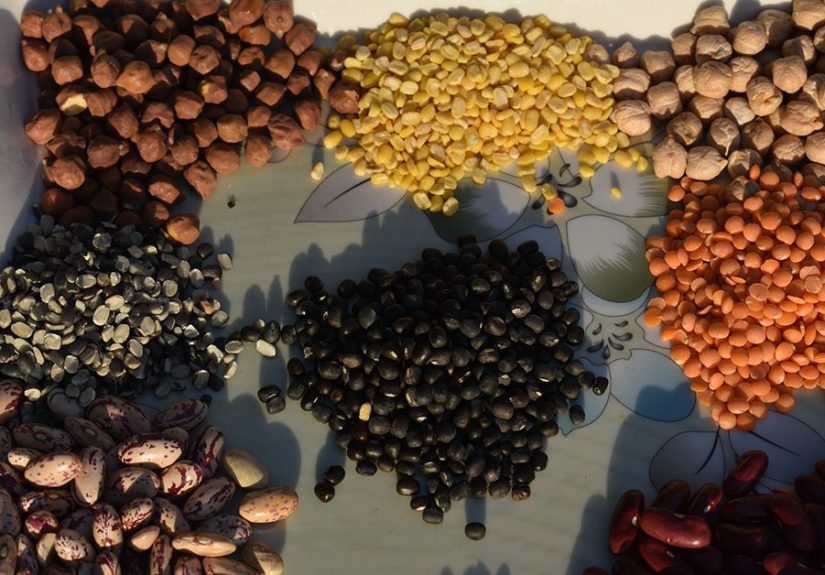 Best Fiber Sources for Older Adults
