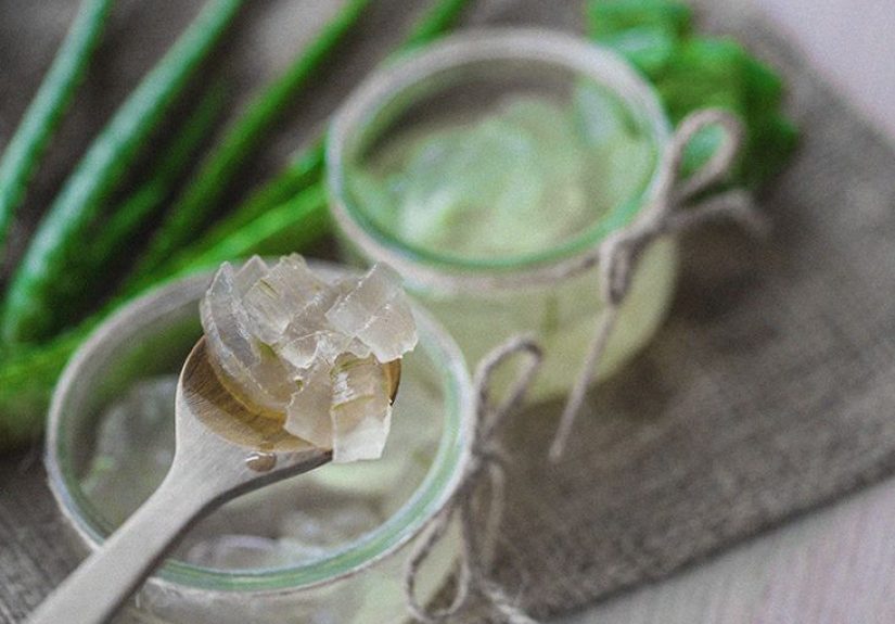 Can Aloe Vera Help With Male Enhancement?