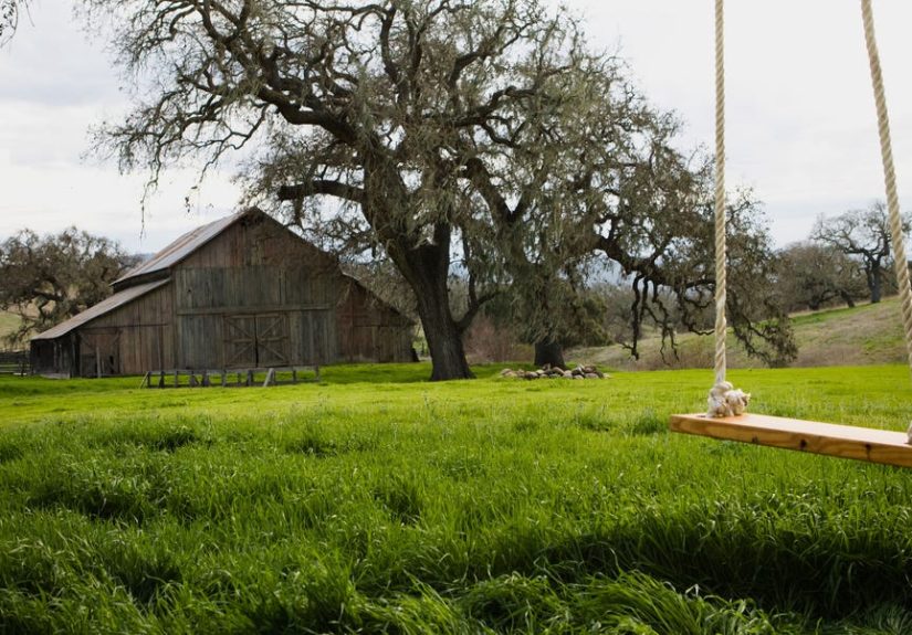 DIY Swing