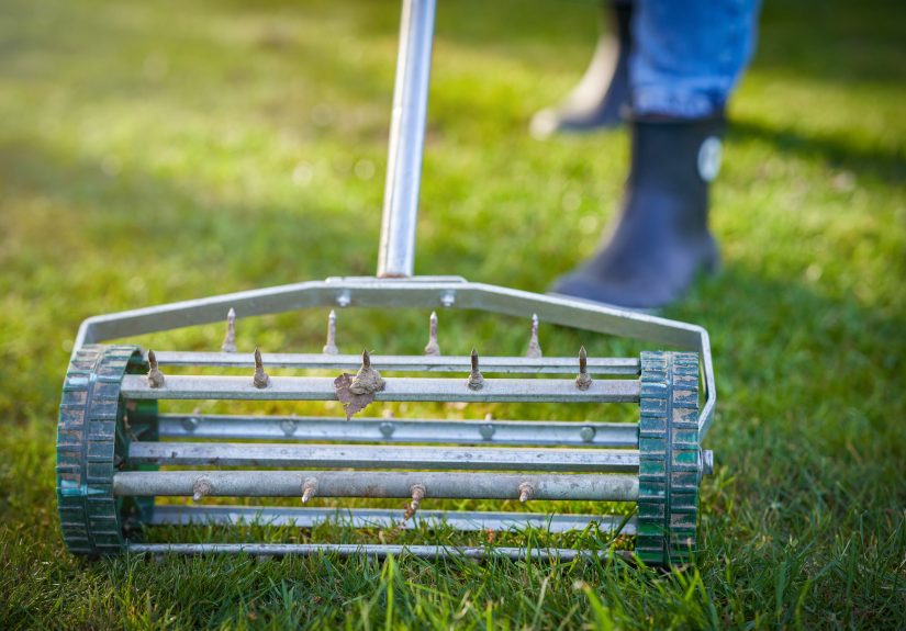 Does Your Lawn Really Need Aerating? Here's How to Tell