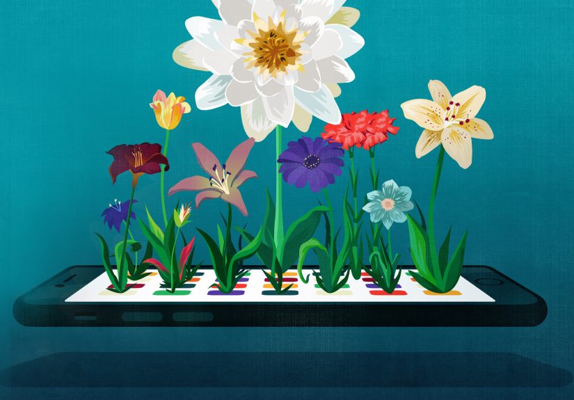 Getting Students to Use their Favorite Apps to Learn and Create