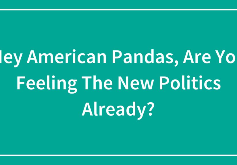 Hey American Pandas, Are You Feeling The New Politics Already?